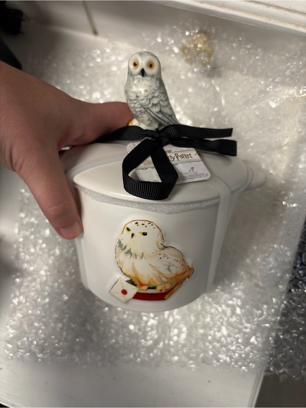 Harry Potter Rae Dunn Hedwig Baking Dish